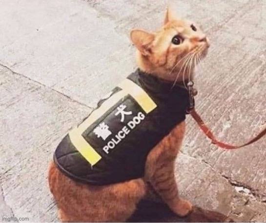 Police dog, 2.0 | image tagged in police dog 2 0 | made w/ Imgflip meme maker