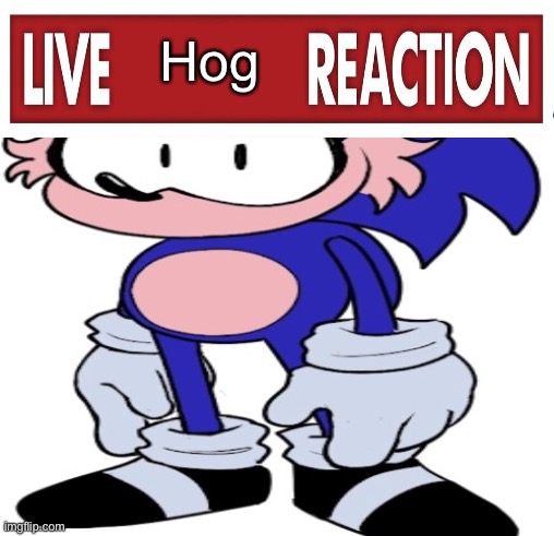 #hogsweep | Hog | image tagged in hogsweep | made w/ Imgflip meme maker