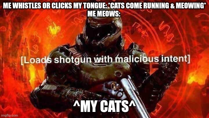 My cats are savage when they aren't purring | ME WHISTLES OR CLICKS MY TONGUE: *CATS COME RUNNING & MEOWING*
ME MEOWS:; ^MY CATS^ | image tagged in loads shotgun with malicious intent | made w/ Imgflip meme maker