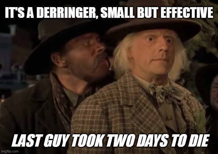 Derringer | IT'S A DERRINGER, SMALL BUT EFFECTIVE; LAST GUY TOOK TWO DAYS TO DIE | image tagged in small,side effects,back to the future,guns,gun violence,biff tannen | made w/ Imgflip meme maker