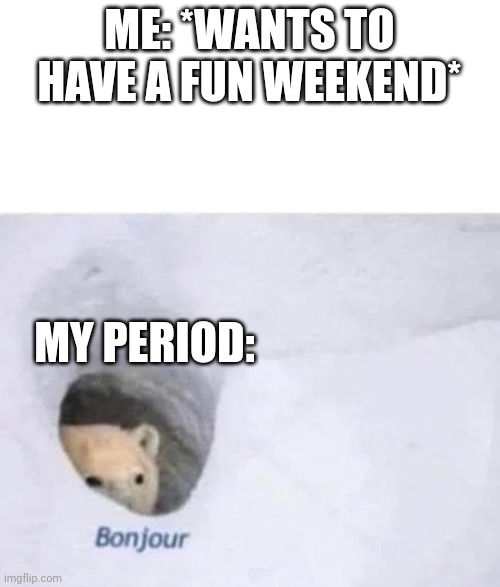Bonjour | ME: *WANTS TO HAVE A FUN WEEKEND*; MY PERIOD: | image tagged in bonjour | made w/ Imgflip meme maker