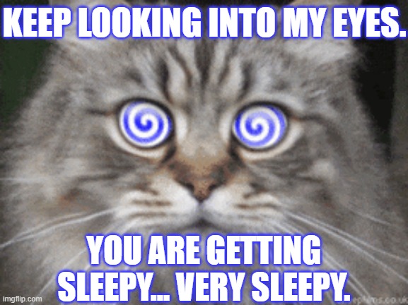 KEEP LOOKING INTO MY EYES. YOU ARE GETTING SLEEPY... VERY SLEEPY. | made w/ Imgflip meme maker