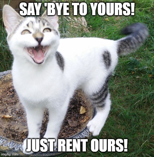 Cat Elizabeth aka Mme Bình | SAY 'BYE TO YOURS! JUST RENT OURS! | image tagged in cat elizabeth aka mme b nh | made w/ Imgflip meme maker