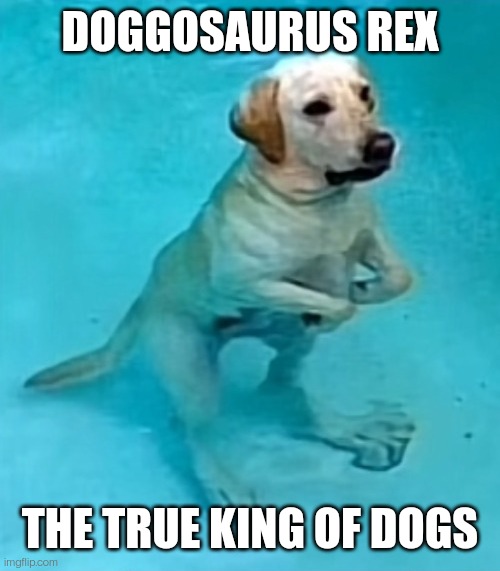 DOGGOSAURUS REX; THE TRUE KING OF DOGS | made w/ Imgflip meme maker