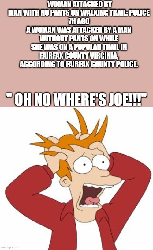 JOE's lost again | WOMAN ATTACKED BY MAN WITH NO PANTS ON WALKING TRAIL: POLICE
7H AGO
A WOMAN WAS ATTACKED BY A MAN WITHOUT PANTS ON WHILE SHE WAS ON A POPULAR TRAIL IN FAIRFAX COUNTY VIRGINIA, ACCORDING TO FAIRFAX COUNTY POLICE. " OH NO WHERE'S JOE!!!" | image tagged in fry freaking out | made w/ Imgflip meme maker