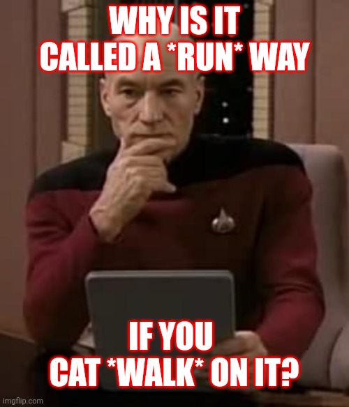 picard thinking | WHY IS IT CALLED A *RUN* WAY; IF YOU
 CAT *WALK* ON IT? | image tagged in picard thinking | made w/ Imgflip meme maker