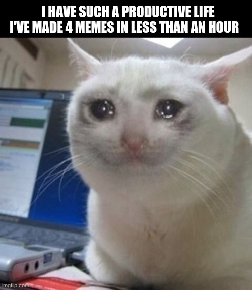 I've got another one coming too | I HAVE SUCH A PRODUCTIVE LIFE I'VE MADE 4 MEMES IN LESS THAN AN HOUR | image tagged in crying cat | made w/ Imgflip meme maker