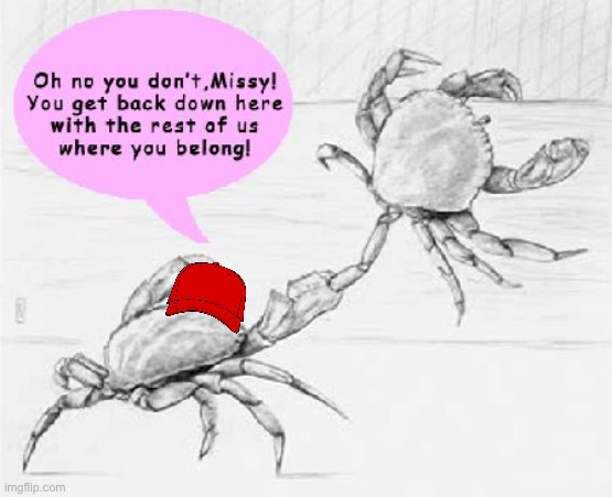 Crabs in a bucket | image tagged in crabs in a bucket | made w/ Imgflip meme maker