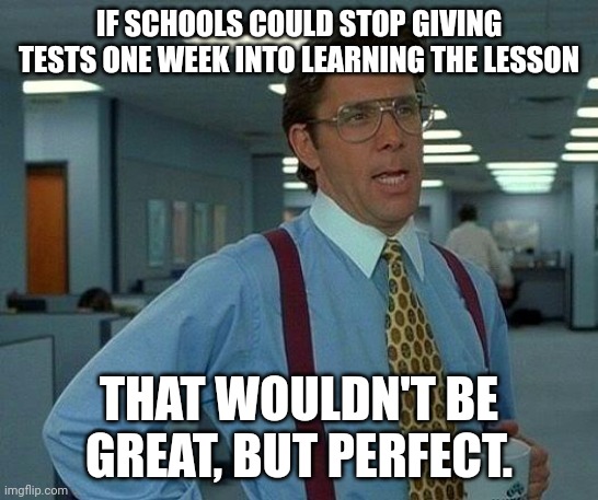 Make it happen. |  IF SCHOOLS COULD STOP GIVING TESTS ONE WEEK INTO LEARNING THE LESSON; THAT WOULDN'T BE GREAT, BUT PERFECT. | image tagged in memes,that would be great | made w/ Imgflip meme maker