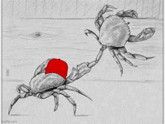 . | image tagged in crabs in a bucket | made w/ Imgflip meme maker