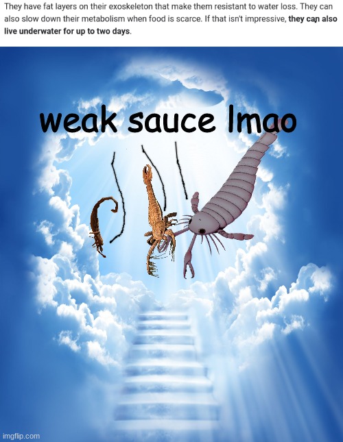 weak sauce lmao | made w/ Imgflip meme maker