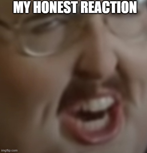 Fat weird al | MY HONEST REACTION | image tagged in fat werid al | made w/ Imgflip meme maker