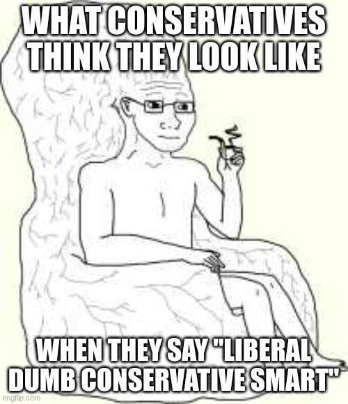 Big Brain Wojak | WHAT CONSERVATIVES THINK THEY LOOK LIKE WHEN THEY SAY "LIBERAL DUMB CONSERVATIVE SMART" | image tagged in big brain wojak | made w/ Imgflip meme maker