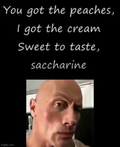 lyrics to a song I listened to as a child and didn't understnad the lyrics ;-; | image tagged in the rock sus | made w/ Imgflip meme maker