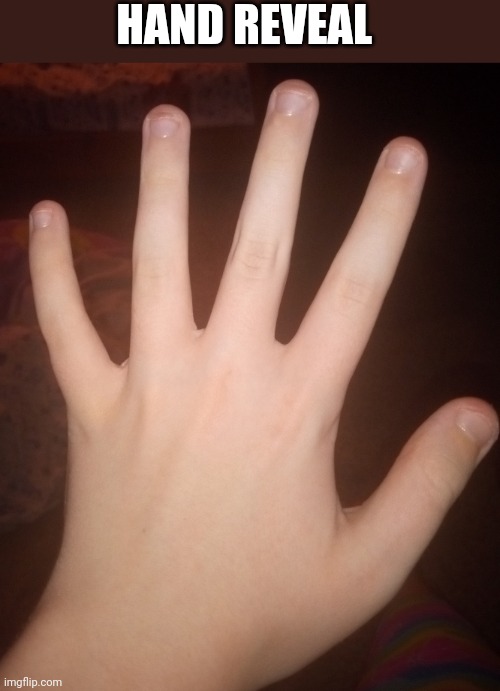 HAND REVEAL | made w/ Imgflip meme maker