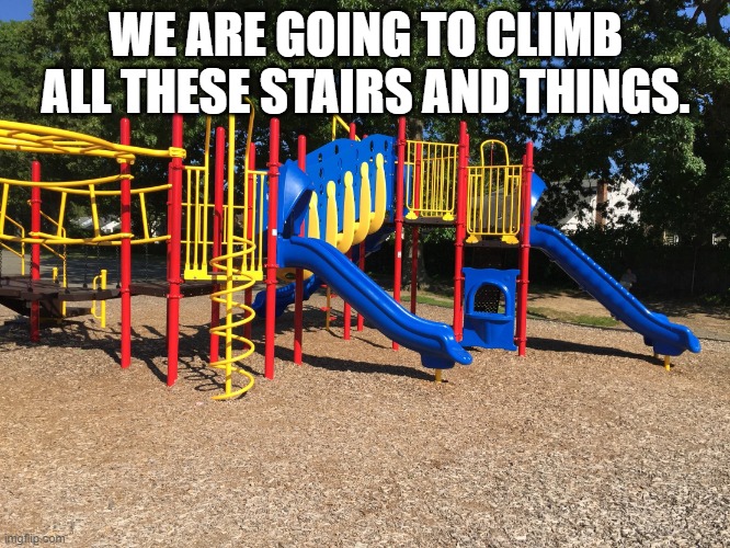 Playground | WE ARE GOING TO CLIMB ALL THESE STAIRS AND THINGS. | image tagged in playground | made w/ Imgflip meme maker