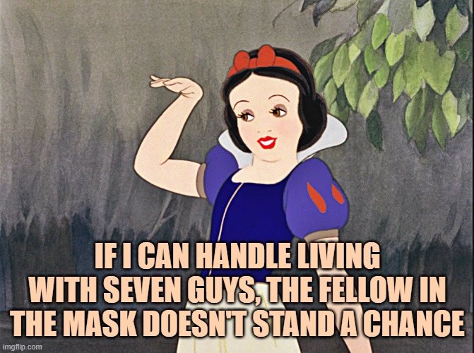 snow white wave | IF I CAN HANDLE LIVING WITH SEVEN GUYS, THE FELLOW IN THE MASK DOESN'T STAND A CHANCE | image tagged in snow white wave | made w/ Imgflip meme maker