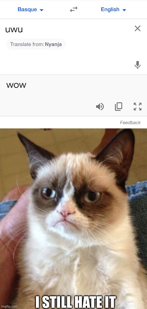  I STILL HATE IT | image tagged in memes,grumpy cat,uwu,hate,funny,google translate | made w/ Imgflip meme maker