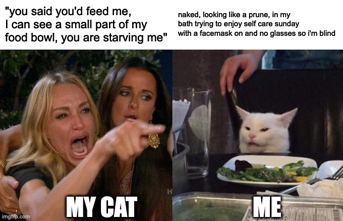 Woman Yelling At Cat | "you said you'd feed me, I can see a small part of my food bowl, you are starving me"; naked, looking like a prune, in my bath trying to enjoy self care sunday with a facemask on and no glasses so i'm blind; MY CAT                          ME | image tagged in memes,woman yelling at cat | made w/ Imgflip meme maker