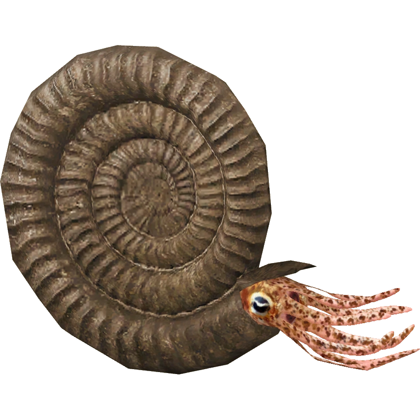 Ammonite Blank Meme Template