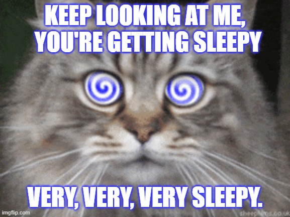 KEEP LOOKING AT ME, VERY, VERY, VERY SLEEPY. YOU'RE GETTING SLEEPY | made w/ Imgflip meme maker