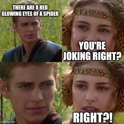 Anakin Padme 4 Panel | THERE ARE 8 RED GLOWING EYES OF A SPIDER; YOU'RE JOKING RIGHT? RIGHT?! | image tagged in anakin padme 4 panel | made w/ Imgflip meme maker
