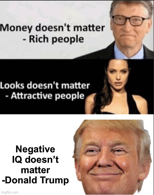 What an idiot he is | Negative IQ doesn’t matter
-Donald Trump | image tagged in priorities | made w/ Imgflip meme maker