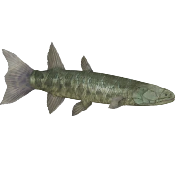 Hyneria Blank Meme Template