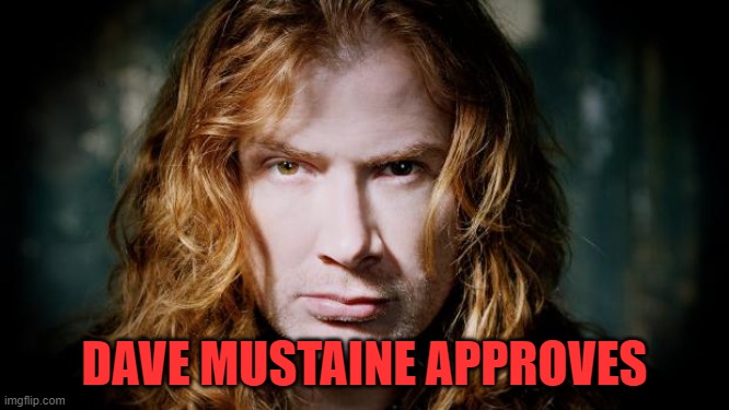 Dave mustaine  | DAVE MUSTAINE APPROVES | image tagged in dave mustaine | made w/ Imgflip meme maker