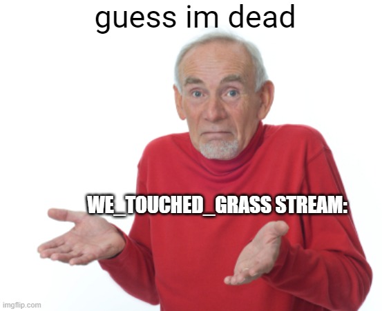 :( | guess im dead; WE_TOUCHED_GRASS STREAM: | image tagged in guess i'll die | made w/ Imgflip meme maker