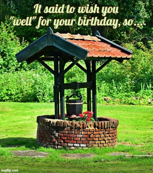 Wishing you "well" on your birthday. | image tagged in well,birthday,outside,funny,bad pun | made w/ Imgflip meme maker