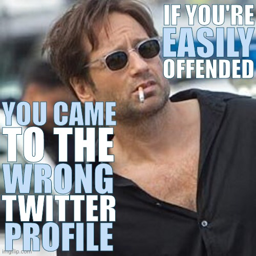 Easily Offended | IF YOU'RE; EASILY; OFFENDED; YOU CAME; TO THE; WRONG; TWITTER; PROFILE | image tagged in funny,memes,david duchovny,californication,offended | made w/ Imgflip meme maker