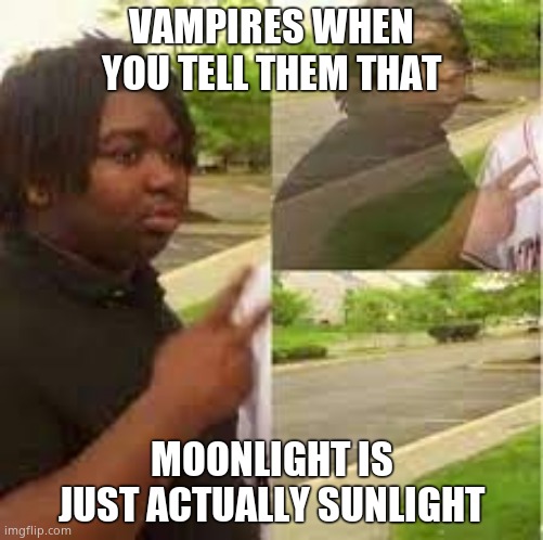 Hold on what? | VAMPIRES WHEN YOU TELL THEM THAT; MOONLIGHT IS JUST ACTUALLY SUNLIGHT | image tagged in peace out,funny memes,vampires | made w/ Imgflip meme maker
