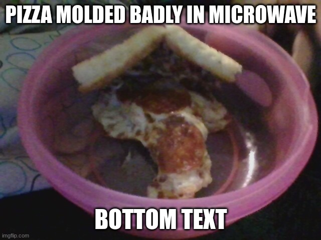 pizza molded badly in microwave | PIZZA MOLDED BADLY IN MICROWAVE; BOTTOM TEXT | image tagged in pizza,microwave | made w/ Imgflip meme maker