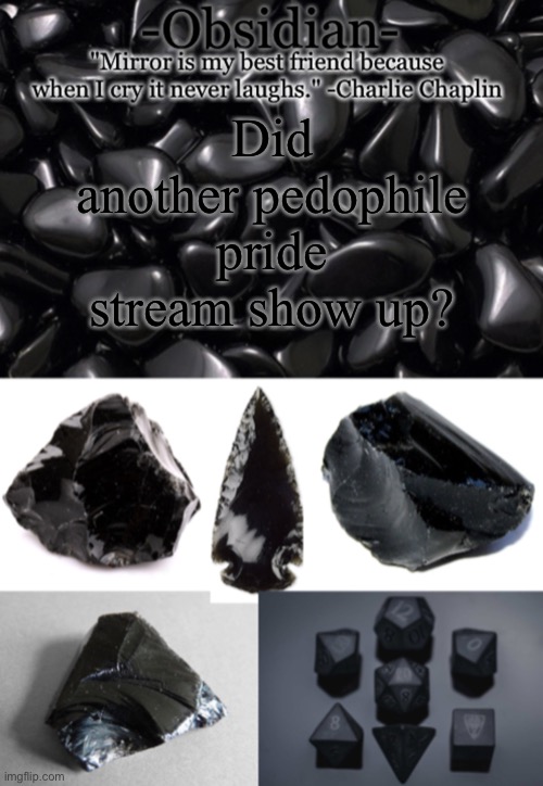 Obsidian | Did another pedophile pride stream show up? | image tagged in obsidian | made w/ Imgflip meme maker