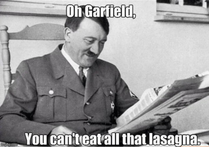 what the hell is this meme | image tagged in memes,funny,hitler,garfield,tf,repost | made w/ Imgflip meme maker
