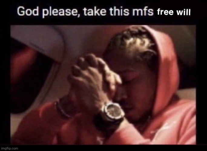 God please, take this mfs free will | image tagged in god please take this mfs free will | made w/ Imgflip meme maker
