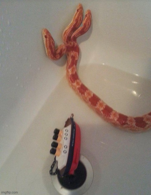 Snek(s) | made w/ Imgflip meme maker