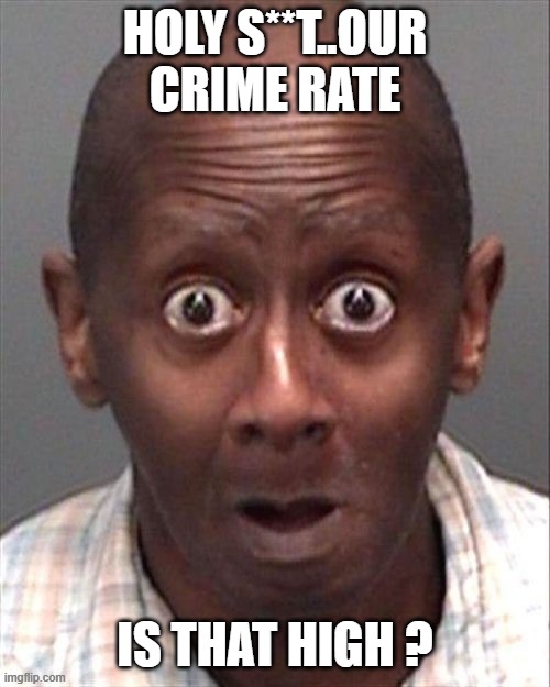 wow | HOLY S**T..OUR CRIME RATE; IS THAT HIGH ? | image tagged in memes | made w/ Imgflip meme maker