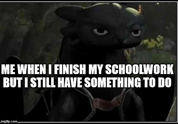 toothless is not inpressed | ME WHEN I FINISH MY SCHOOLWORK BUT I STILL HAVE SOMETHING TO DO | image tagged in toothless is not inpressed,schoolwork | made w/ Imgflip meme maker