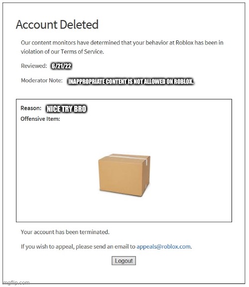 If you know you know | 6/21/22; INAPPROPRIATE CONTENT IS NOT ALLOWED ON ROBLOX. NICE TRY BRO | image tagged in banned from roblox,roblox,gaming,memes,funny,box | made w/ Imgflip meme maker