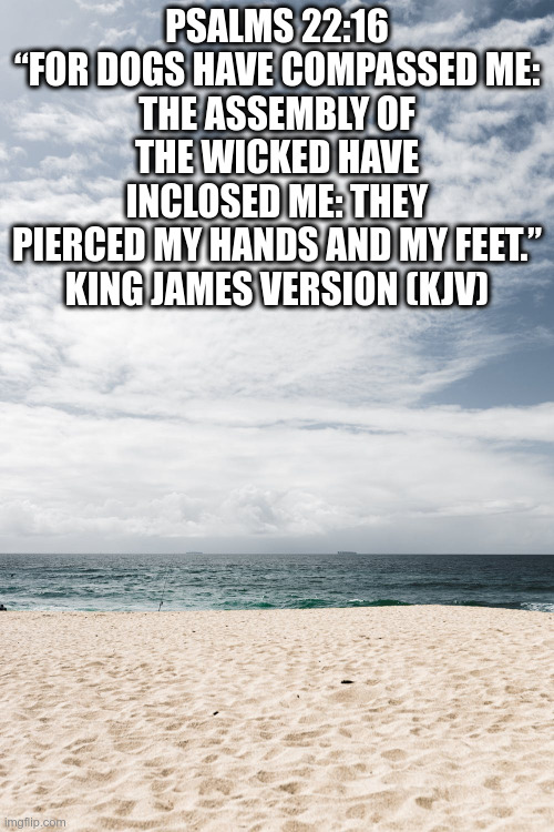 bibleverse1 | PSALMS 22:16

“FOR DOGS HAVE COMPASSED ME: THE ASSEMBLY OF THE WICKED HAVE INCLOSED ME: THEY PIERCED MY HANDS AND MY FEET.”

KING JAMES VERSION (KJV) | image tagged in bibleverse1 | made w/ Imgflip meme maker