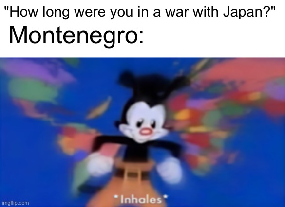Yakko inhale | Montenegro:; "How long were you in a war with Japan?" | image tagged in yakko inhale | made w/ Imgflip meme maker