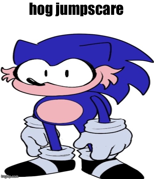 #hogsweep | hog jumpscare | image tagged in hogsweep | made w/ Imgflip meme maker