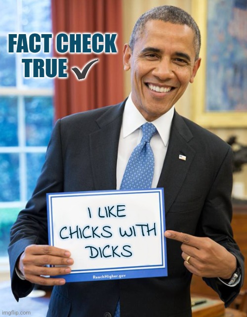 Barrack Obama Holds Sign | FACT CHECK
TRUE ✔️; I LIKE CHICKS WITH
DICKS | image tagged in barrack obama holds sign,obama,memes,funny | made w/ Imgflip meme maker