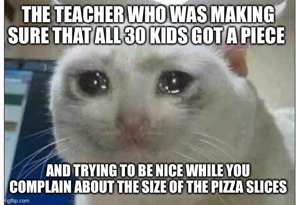 crying cat | THE TEACHER WHO WAS MAKING SURE THAT ALL 30 KIDS GOT A PIECE AND TRYING TO BE NICE WHILE YOU COMPLAIN ABOUT THE SIZE OF THE PIZZA SLICES | image tagged in crying cat | made w/ Imgflip meme maker