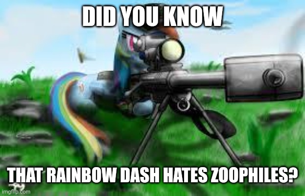 Army rainbow dash | DID YOU KNOW; THAT RAINBOW DASH HATES ZOOPHILES? | image tagged in army rainbow dash | made w/ Imgflip meme maker