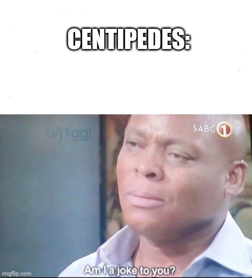 am I a joke to you | CENTIPEDES: | image tagged in am i a joke to you | made w/ Imgflip meme maker