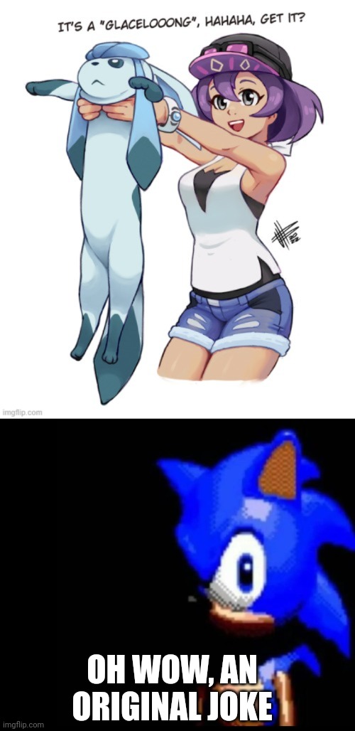 OH WOW, AN ORIGINAL JOKE | image tagged in sonic stares | made w/ Imgflip meme maker