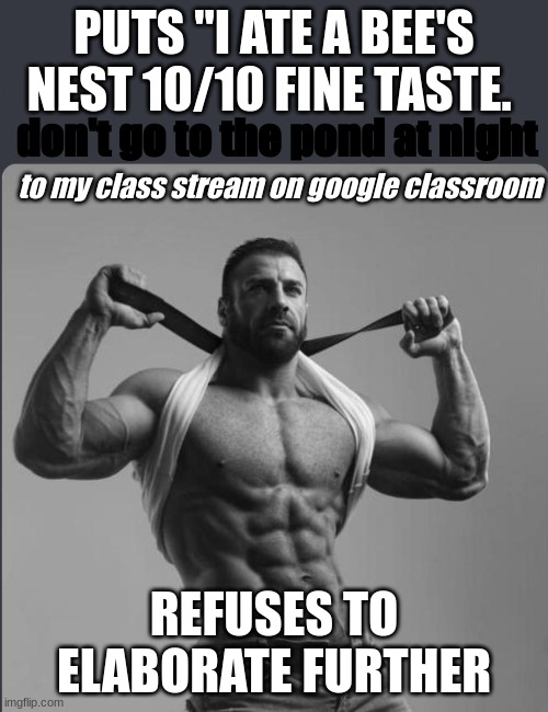 Refuses to elaborate any further | PUTS "I ATE A BEE'S NEST 10/10 FINE TASTE. don't go to the pond at night; to my class stream on google classroom; REFUSES TO ELABORATE FURTHER | image tagged in refuses to elaborate any further | made w/ Imgflip meme maker